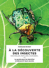 Broché A la découverte des insectes : coccinelles, papillons, scarabées... : le guide pour les identifier et découvrir leurs... de Morgane Peyrot