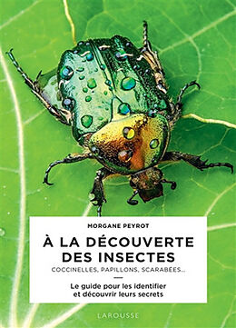Broché A la découverte des insectes : coccinelles, papillons, scarabées... : le guide pour les identifier et découvrir leurs... de Morgane Peyrot