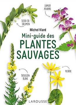 Broché Mini-guide des plantes sauvages de Michel Viard