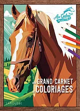 Broschiert Au galop ! Une saison à cheval : mon grand livre de coloriages von 