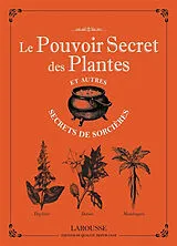 Broschiert Le pouvoir secret des plantes et autres secrets de sorcières von Michel Viard
