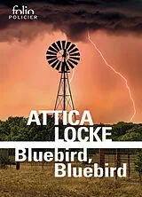 Broschiert Bluebird, bluebird von Attica Locke