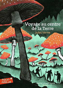 Broché Voyage au centre de la Terre de Jules Verne