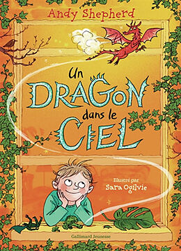 Broché Un dragon dans le ciel de Andy Shepherd