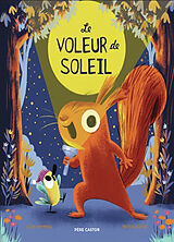 Broschiert Le voleur de soleil von Alice; Slater, Nicola Hemming