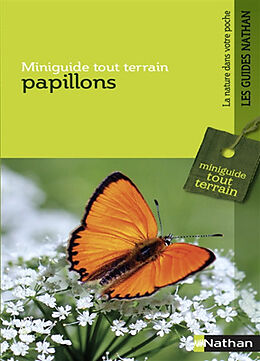 Broché Papillons de Helga Hofmann