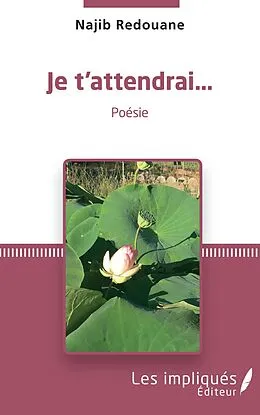 E-Book (pdf) Je t'attendrai... von Redouane