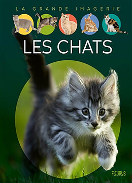 Broché Les chats de Agnès Vandewiele