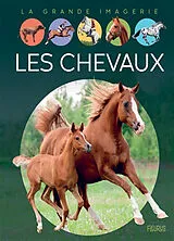 Broschiert Les chevaux von Agnès Vandewiele