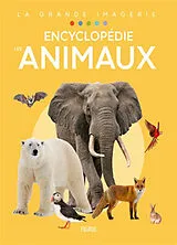 Broschiert Les animaux : encyclopédie von Emilie Beaumont, Raphaëlle Chauvelot