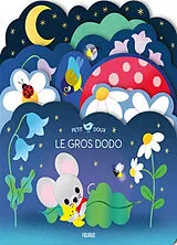 Kartonierter Einband Le gros dodo von Lilidoll