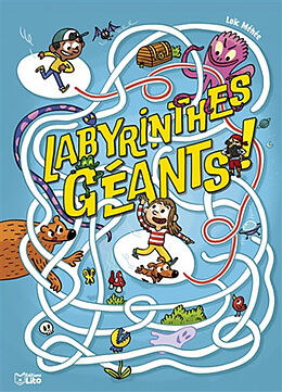 Broché Labyrinthes géants ! de Loïc Méhée