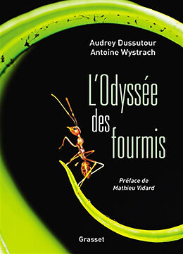 Broché L'odyssée des fourmis de Audrey; Wystrach, Antoine Dussutour