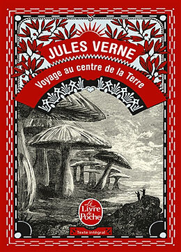 Kartonierter Einband Voyage au centre dae la terre von Jules Verne