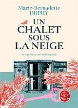  Le mystère Soline. Vol. 3. Un chalet sous la neige von Marie-Bernadette Dupuy