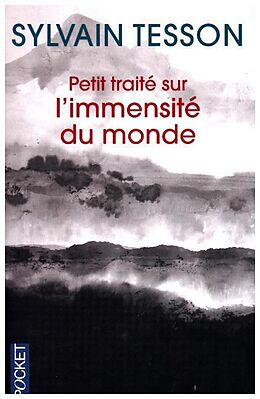 Kartonierter Einband Petit traité sur l'immensité du monde von Sylvain Tesson