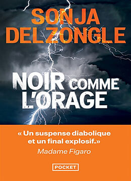 Broché Noir comme l'orage de Sonja Delzongle