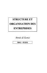 eBook (pdf) Structure et organisation des entreprises de 