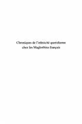E-Book (pdf) Chroniques de l'ethnicite quotidienne chez les maghrebins fr von Bruneaud Jean-Francois
