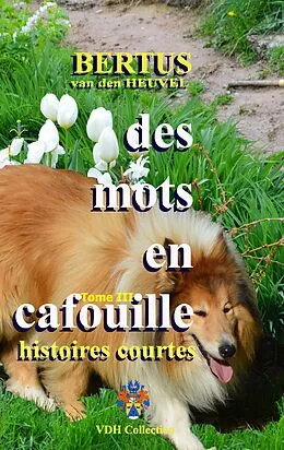E-Book (epub) Des mots en cafouille III von Bertus van den Heuvel