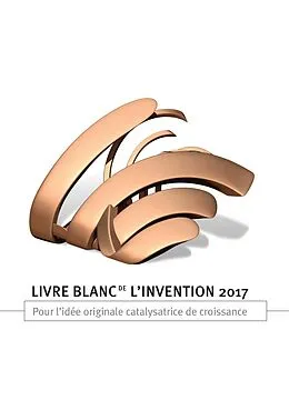 E-Book (epub) Livre blanc de l'invention 2017 von Catherine Kuszla-Chevalier, Catherine Pouget-Cauchy, Yvon Pesqueux