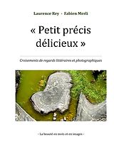 E-Book (epub) Petit précis délicieux von Rey Laurence, Merli Fabien