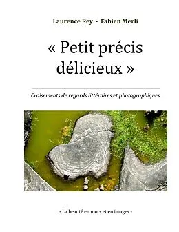 E-Book (epub) Petit précis délicieux von Rey Laurence, Merli Fabien