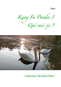 eBook (epub) Kung Fu Panda 3 de Ygrec