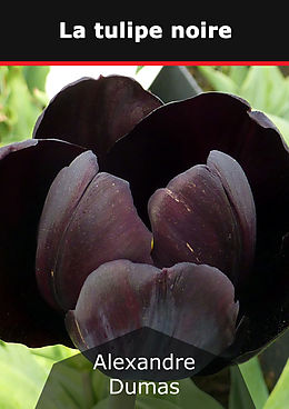 E-Book (epub) La tulipe noire von Alexandre Dumas
