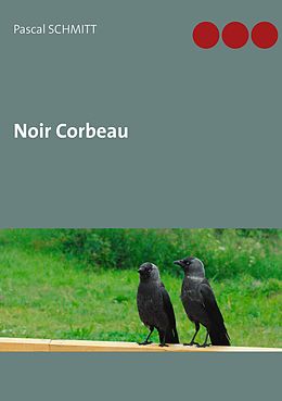 eBook (epub) Noir Corbeau de Pascal Schmitt