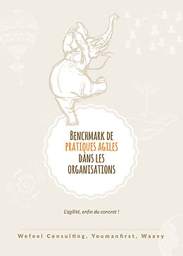 E-Book (epub) Benchmark de pratiques agiles dans les organisations von Claire-Amélie Peton, Julie Ogé, Deborah Smadja
