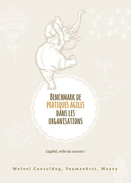 E-Book (epub) Benchmark de pratiques agiles dans les organisations von Claire-Amélie Peton, Julie Ogé, Deborah Smadja