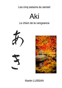 E-Book (epub) Aki von Martin Lussan