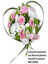 E-Book (epub) Comment entretenir vos fleurs et plantes : von Eric Leroy