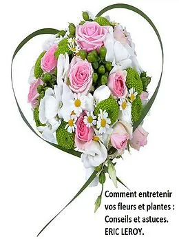 E-Book (epub) Comment entretenir vos fleurs et plantes : von Eric Leroy