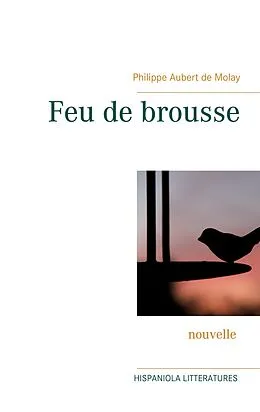 E-Book (epub) Feu de brousse von Philippe Aubert de Molay
