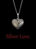 E-Book (epub) Silver Love von David Gabriel