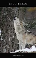 E-Book (epub) Croc-Blanc von Jack London