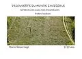 E-Book (epub) Découverte du monde Invisible von Frederic Baudouin