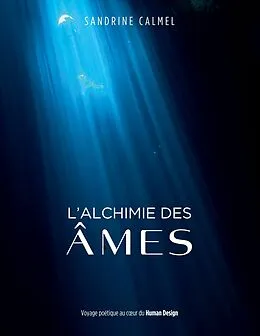 E-Book (epub) L'alchimie des âmes von Sandrine Calmel