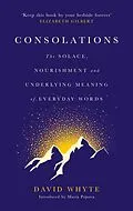 E-Book (epub) Consolations von Anne-Christine Lehallier