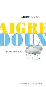 Broschiert Aigre-doux von Wilfried N'Sondé