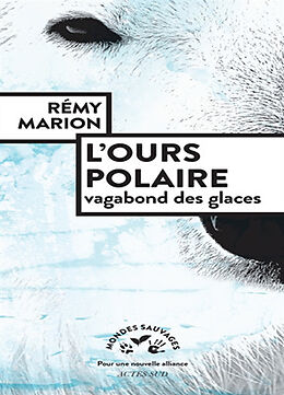 Broché L'ours polaire : vagabond des glaces de Rémy Marion