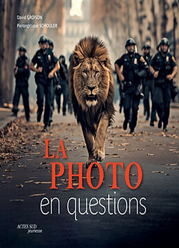 Broché La photo en questions de David; Schouler, Pierangélique Groison