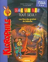 Broschiert Les fées des grottes de Vallorbe von Gerber-Lauzon Valérie;Tessier Thomas