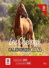 Broschiert Les chevaux : calendrier 2026 : 16 mois, septembre 2025-décembre 2026 von 