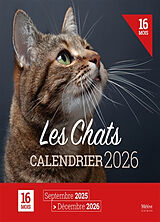 Broschiert Les chats : calendrier 2026 : 16 mois, septembre 2025-décembre 2026 von 