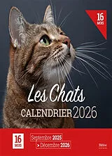 Broschiert Les chats : calendrier 2026 : 16 mois, septembre 2025-décembre 2026 von 