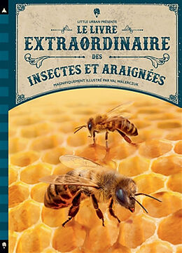 Broschiert Le livre extraordinaire des insectes et araignées von Barbara Taylor