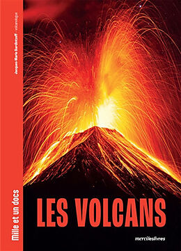 Broché Les volcans de Jacques-Marie Bardintzeff